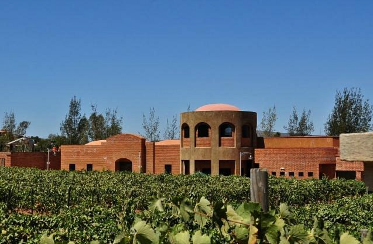 Toma vino con los Pies en la Tierra