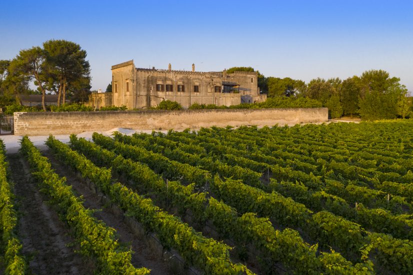 Haciendo historia desde 1921, Bodega Varvaglione