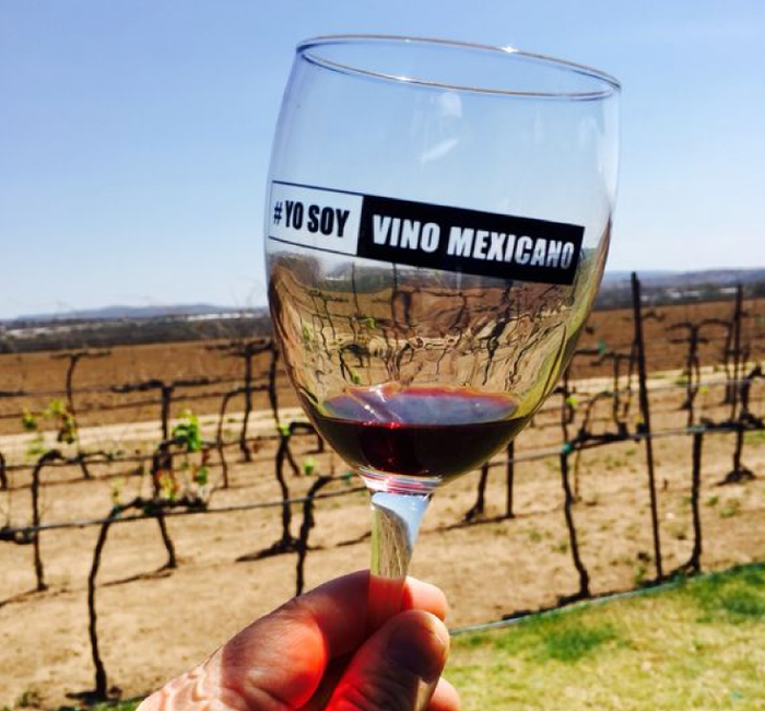 Un viaje vinícola por mi tierra mexicana