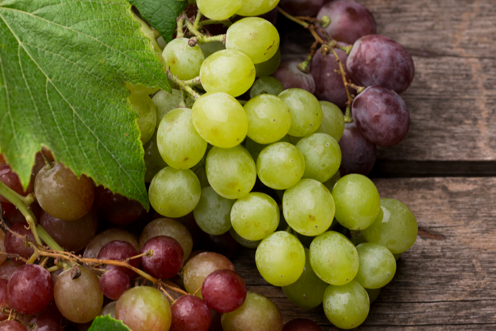 Agosto está más conectado con el vino de lo que crees