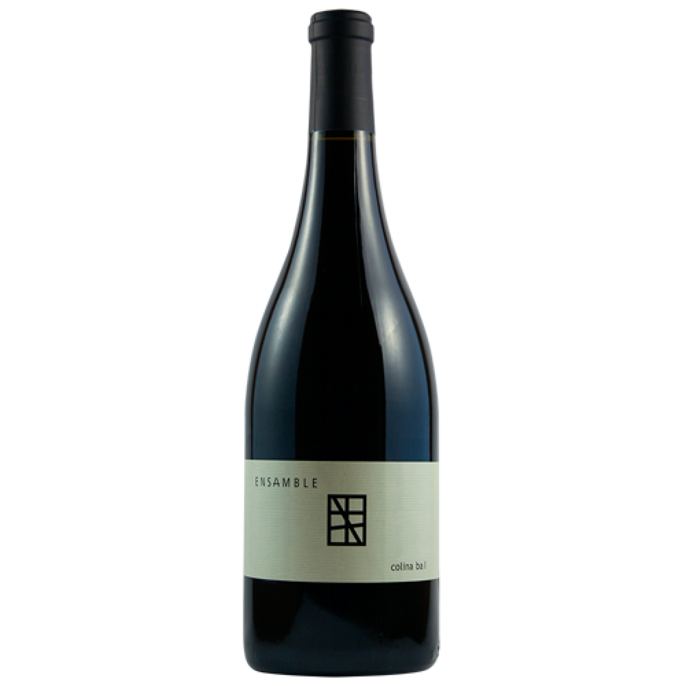 Ensamble Colina  I 750 ml - Tiempo de Vinos